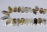 CTD2734 Top drilled 15*28mm - 18*45mm freeform montana agate beads