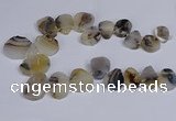 CTD2736 Top drilled 20*25mm - 35*45mm freeform Montana agate beads