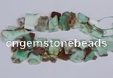 CTD2885 Top drilled 15*20mm - 25*45mm freeform australia chrysoprase beads