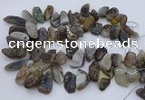 CTD3525 Top drilled 12*20mm - 15*40mm freeform botswana agate beads