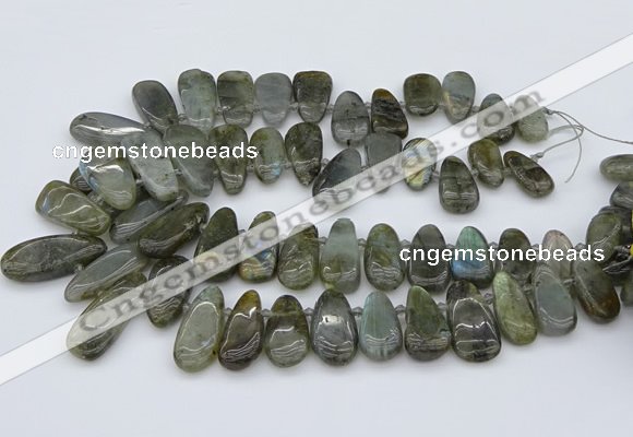 CTD3531 Top drilled 10*22mm - 15*45mm freeform labradorite beads