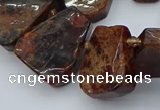 CTD3596 Top drilled 15*20mm - 25*30mm freeform orange garnet beads