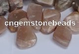 CTD3607 Top drilled 10*14mm - 13*18mm nuggets moonstone beads