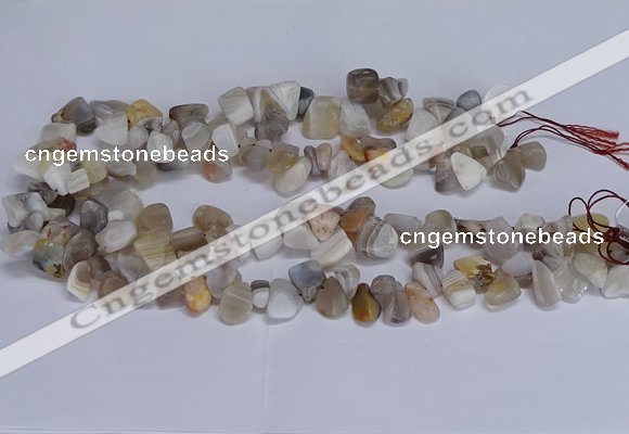 CTD3609 Top drilled 10*14mm - 13*18mm nuggets botswana agate beads