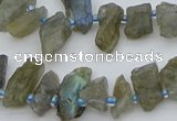 CTD3631 Top drilled 6*15mm - 10*20mm nuggets labradorite beads