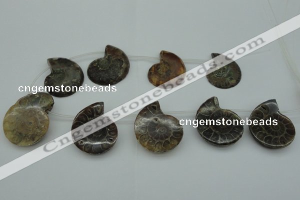 CTD365 Top drilled 25*35mm - 35*45mm carved ammonite gemstone beads