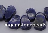 CTD377 Top drilled 10*14mm - 15*20mm freeform lapis lzuli beads