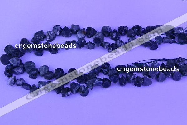 CTD3861 Top drilled 8*10mm - 10*12mm freeform seraphinite beads