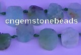 CTD3894 Top drilled 10*12mm - 10*14mm freeform Australia chrysoprase beads