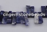 CTD401 Top drilled 4*15mm - 6*20mm sticks sodalite gemstone beads