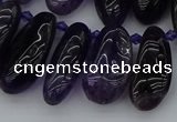 CTD448 Top drilled 10*20mm - 15*30mm freeform amethyst beads