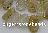 CTD449 Top drilled 10*14mm - 12*20mm freeform golden rutilated quartz beads