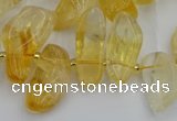 CTD452 15.5 inches 10*14mm - 15*30mm freeform citrine beads