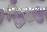 CTD478 Top drilled 10*15mm - 15*35mm freeform amethyst beads