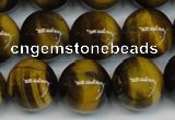 CTE1220 15.5 inches 10mm round AB+ grade yellow tiger eye beads