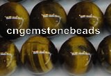 CTE1223 15.5 inches 16mm round AB+ grade yellow tiger eye beads