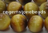 CTE1405 15.5 inches 14mm round golden tiger eye beads wholesale