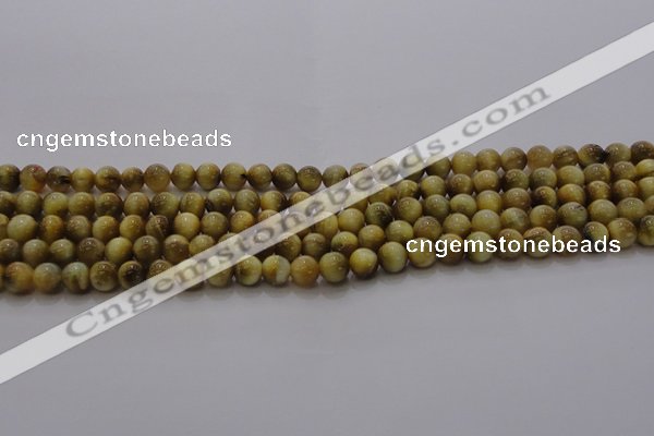 CTE1411 15.5 inches 6mm round golden tiger eye beads wholesale