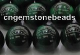 CTE1426 15.5 inches 16mm round green tiger eye beads wholesale