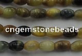 CTE1550 15.5 inches 4*6mm rice golden & blue tiger eye beads wholesale