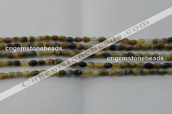 CTE1550 15.5 inches 4*6mm rice golden & blue tiger eye beads wholesale