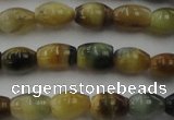 CTE1551 15.5 inches 5*8mm rice golden & blue tiger eye beads wholesale