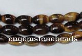 CTE158 15.5 inches 8*12mm rice yellow tiger eye gemstone beads