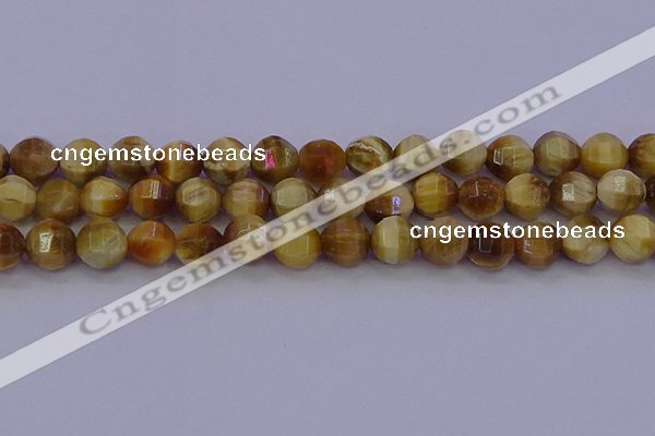 CTE1998 15.5 inches 10mm faceted round golden tiger eye beads