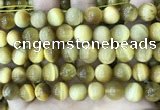 CTE2011 15.5 inches 12mm round golden tiger eye beads wholesale