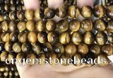 CTE2149 15.5 inches 10mm round yellow tiger eye beads wholesale