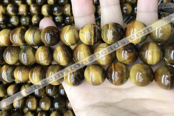 CTE2152 15.5 inches 16mm round yellow tiger eye beads wholesale