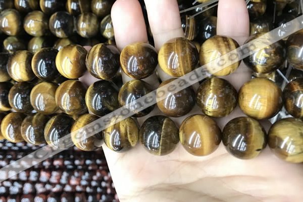 CTE2154 15.5 inches 20mm round yellow tiger eye beads wholesale