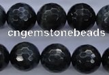 CTE446 15.5 inches 16mm faceted round blue tiger eye beads