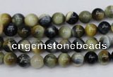 CTE551 15.5 inches 6mm round golden & blue tiger eye beads