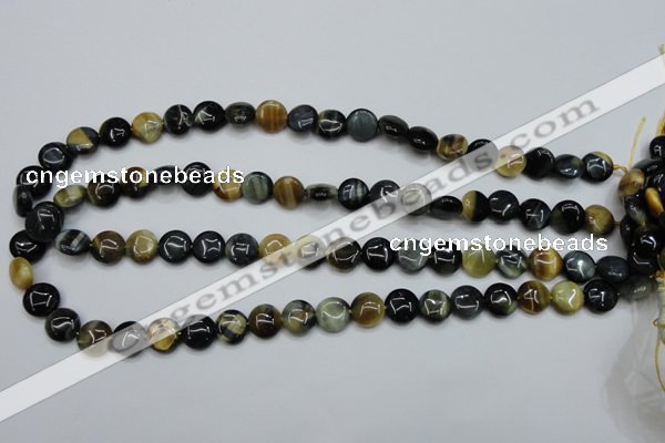 CTE560 15.5 inches 10mm flat round golden & blue tiger eye beads