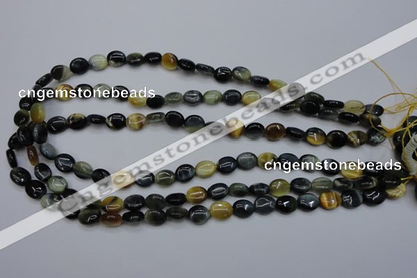 CTE568 15.5 inches 8*10mm oval golden & blue tiger eye beads
