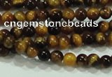 CTG01 15.5 inches 2mm round tiny tigers eye beads wholesale