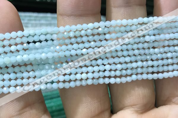 CTG1049 15.5 inches 2mm faceted round tiny amazonite beads