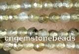 CTG1077 15.5 inches 2mm faceted round tiny labradorite beads