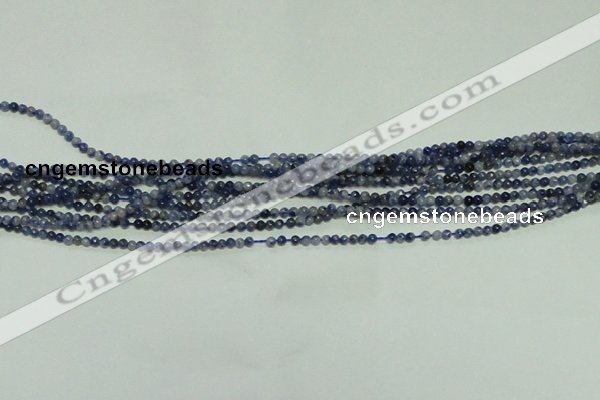 CTG115 15.5 inches 2mm round tiny sodalite gemstone beads wholesale