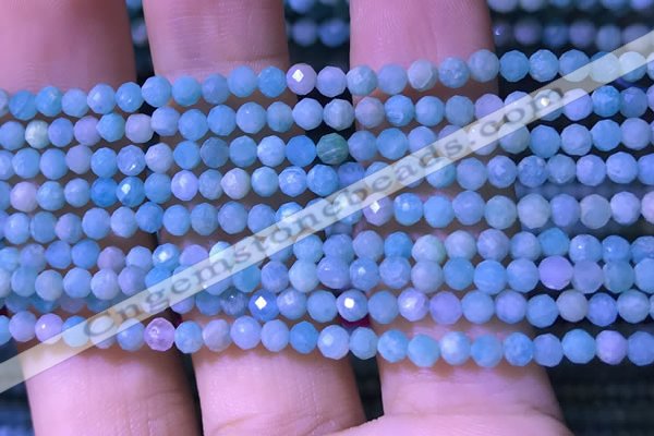 CTG1166 15.5 inches 3mm faceted round tiny amazonite beads