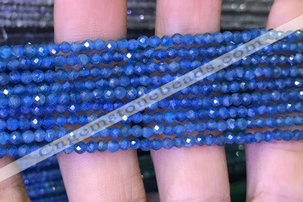 CTG1195 15.5 inches 3mm faceted round tiny apatite gemstone beads