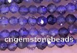 CTG1329 15.5 inches 2mm faceted round iolite beads wholesale