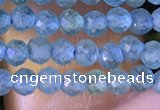 CTG1380 15.5 inches 2mm faceted round tiny apatite beads