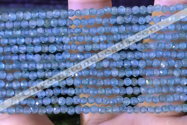 CTG1380 15.5 inches 2mm faceted round tiny apatite beads