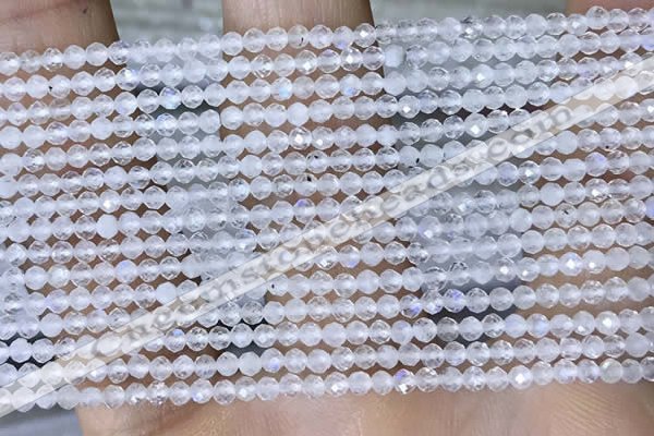 CTG1402 15.5 inches 2mm faceted round white moonstone beads wholesale