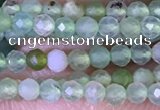 CTG1414 15.5 inches 2mm faceted round Australia chrysoprase beads