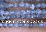 CTG1416 15.5 inches 2mm faceted round apatite beads wholesale