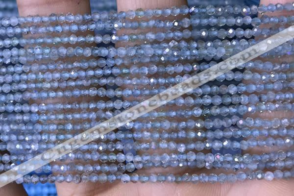 CTG1416 15.5 inches 2mm faceted round apatite beads wholesale