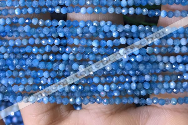 CTG1418 15.5 inches 2mm faceted round apatite beads wholesale